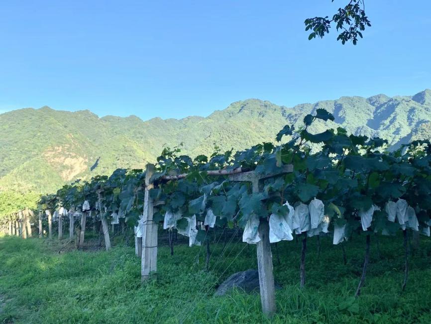 6bc9bc3c2dd5f3d8ba02d26a2e6fc63